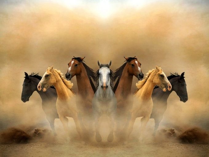 four horses are running in the dust with their heads turned to look like they're galloping