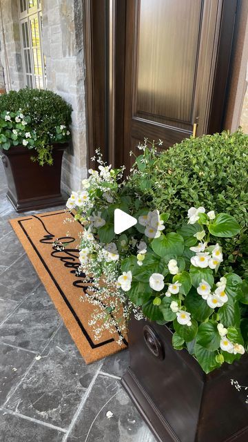 two potted plants sitting on the side of a door way next to a welcome mat