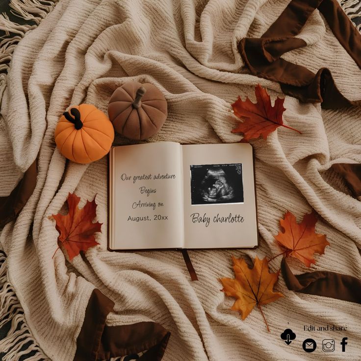 an open book sitting on top of a blanket next to autumn leaves and pumpkins