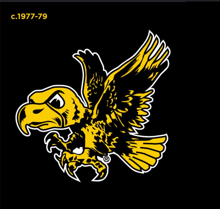 the logo of the university of southern michigan football team on a black and yellow background