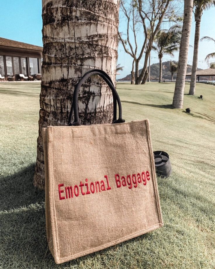 a bag sitting on the ground next to a tree