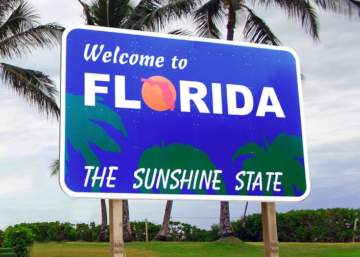 a welcome sign to the state of florida with palm trees in the backgroud