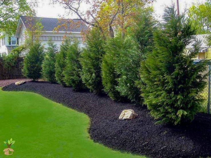 a green yard with black mulch and trees