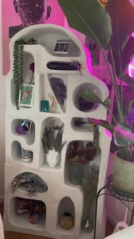 a white shelf filled with lots of plants and other items next to a pink wall