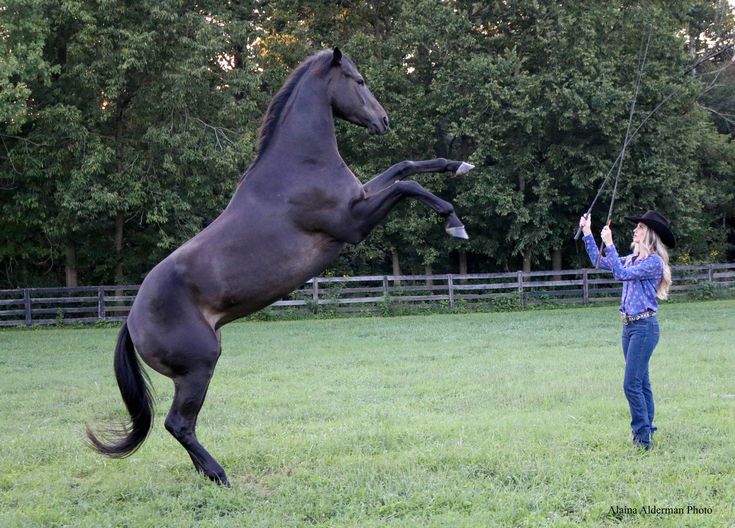 a woman standing next to a black horse in a field