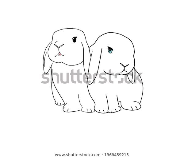 two rabbits sitting next to each other on a white background