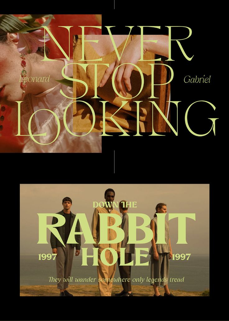 two movie posters with the title never stop looking from the rabbit hole and down the rabbit hole