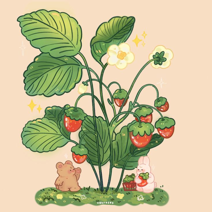 an image of a plant with strawberries on it and a teddy bear in the grass