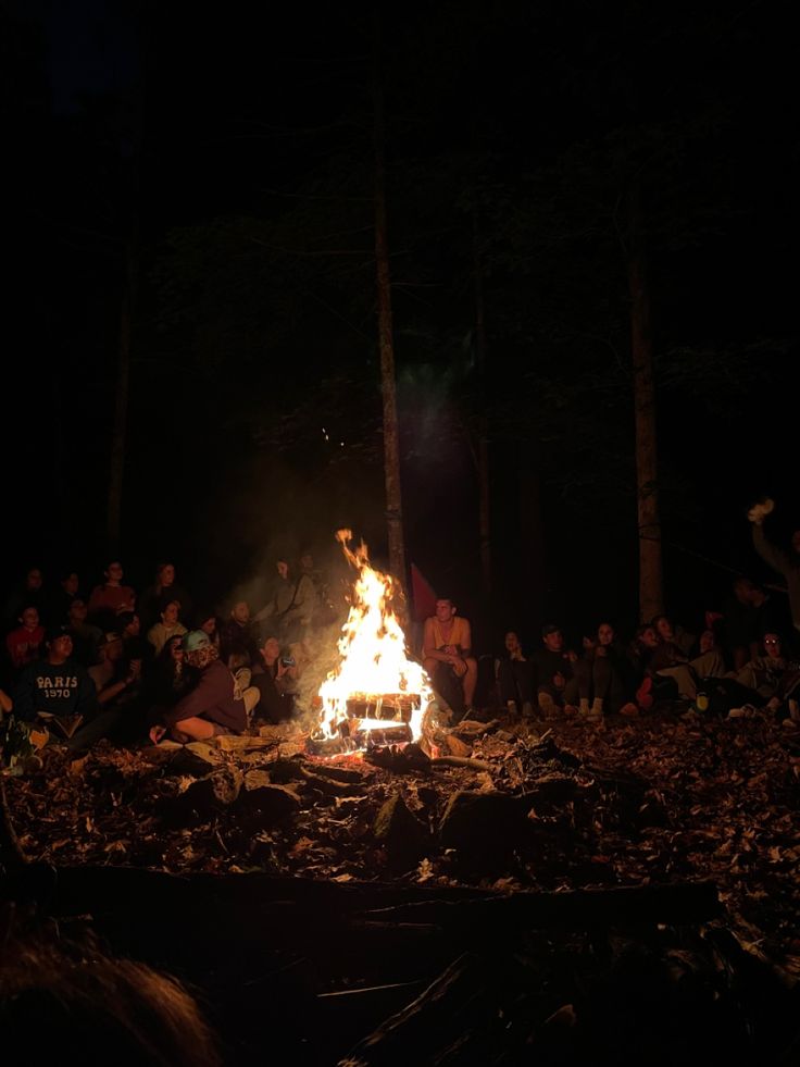 a group of people sitting around a fire in the woods at night with lights on