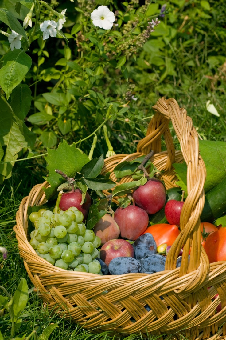 a wicker basket filled with lots of different types of fruits and vegetables in the grass