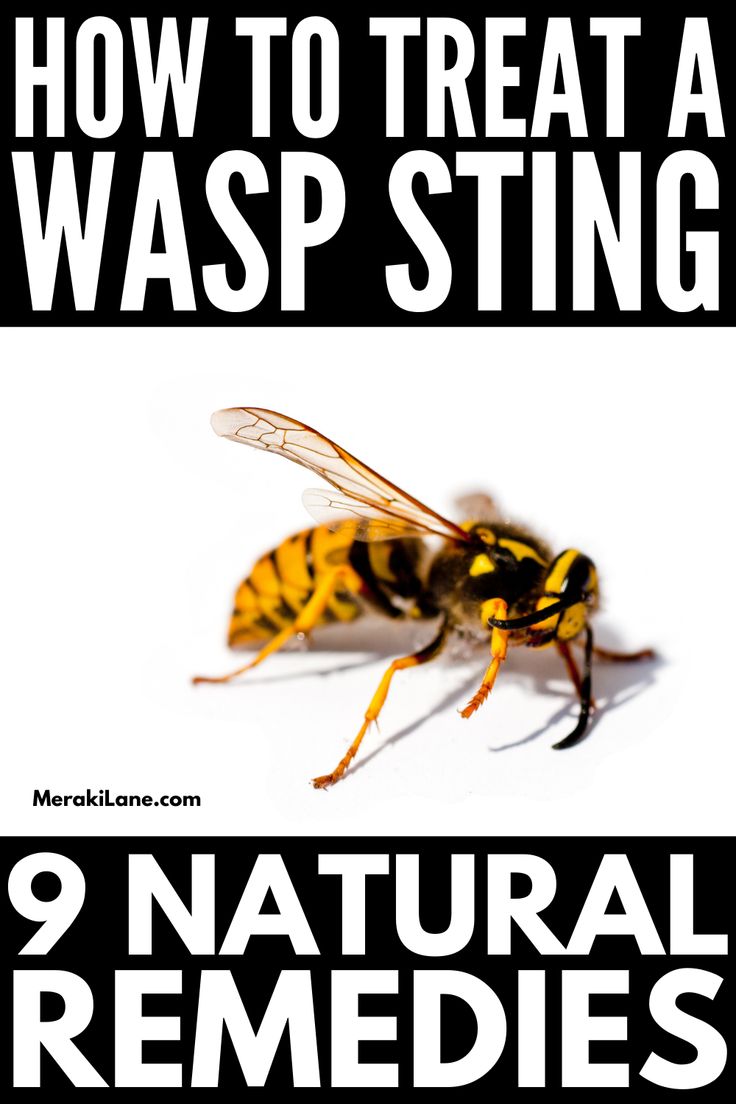 how to treat a wasp sting in natural remedies for pesticides and insect repellements