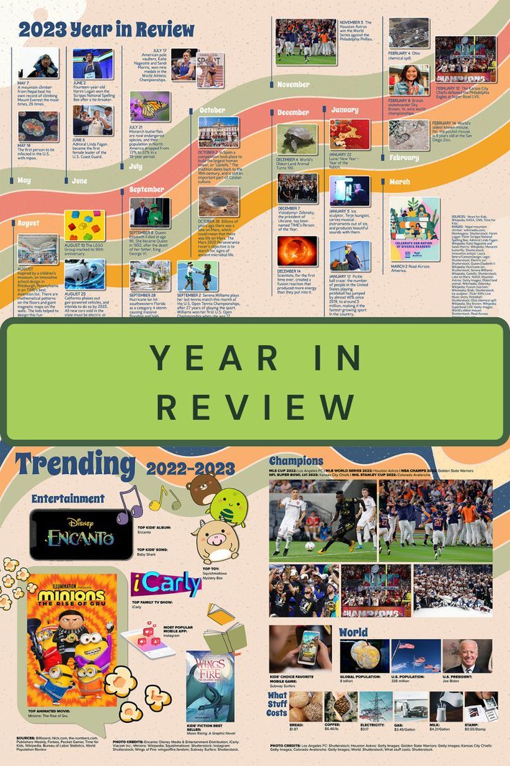 the year in review poster with pictures and text