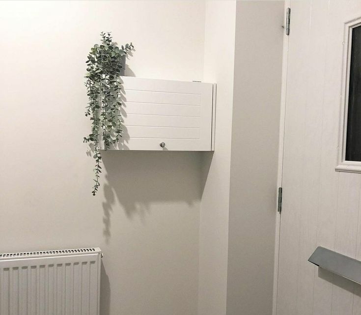 a plant is growing on the corner of a white wall next to a radiator