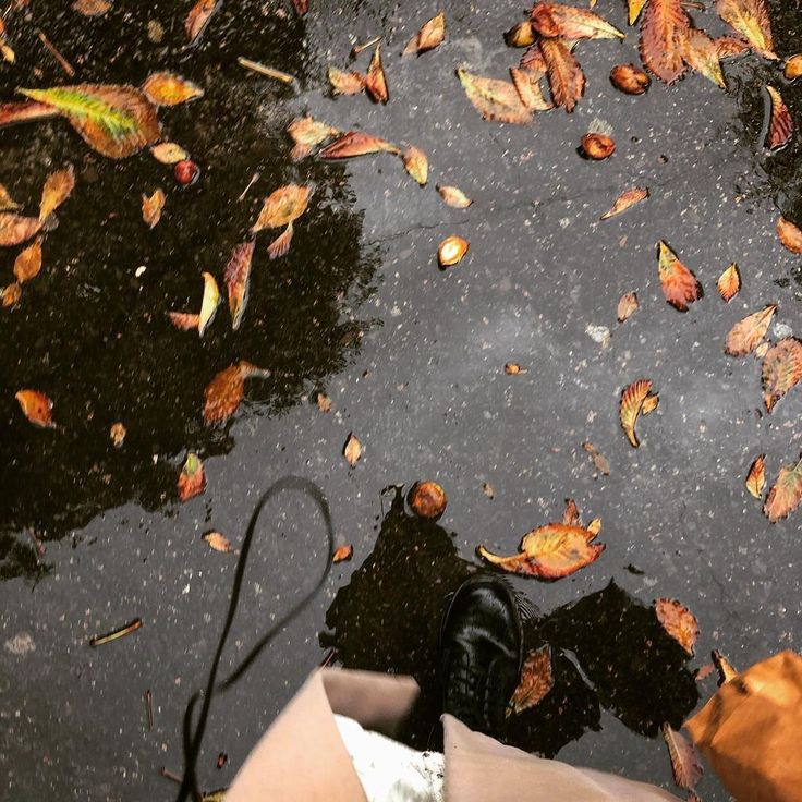 someone's feet standing in the water with leaves on the ground next to them