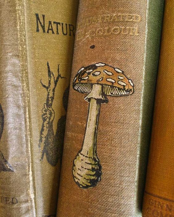 the books are lined up next to each other in front of an image of a mushroom