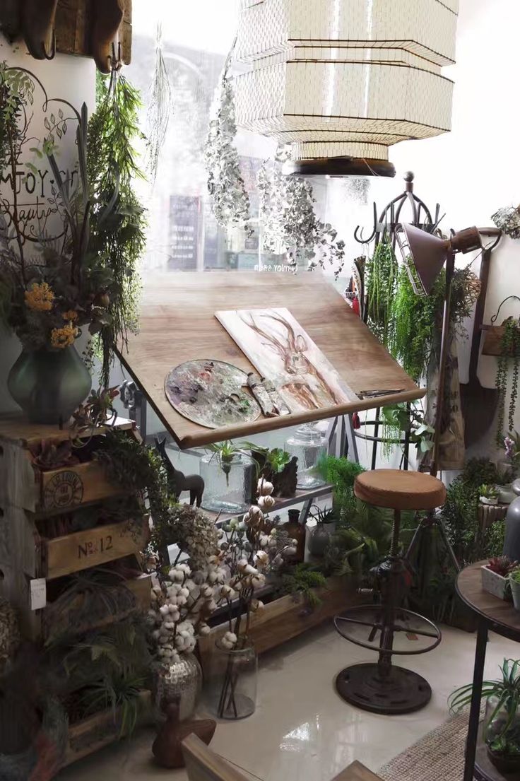 a room filled with lots of different types of potted plants and decor on the walls