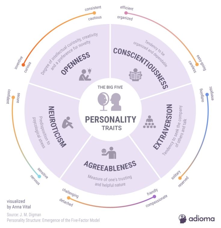 a circular diagram with the words personality and their attributes