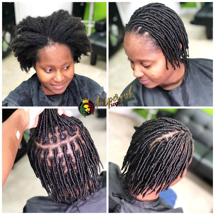 smedium starter locs Natural Hairstyles For Work, Starter Loc Styles, Curly Locs, Hairstyles For Work, Christmas Pine Cones, Starter Locs, Locs Hairstyles, Loc Styles, Pine Cone