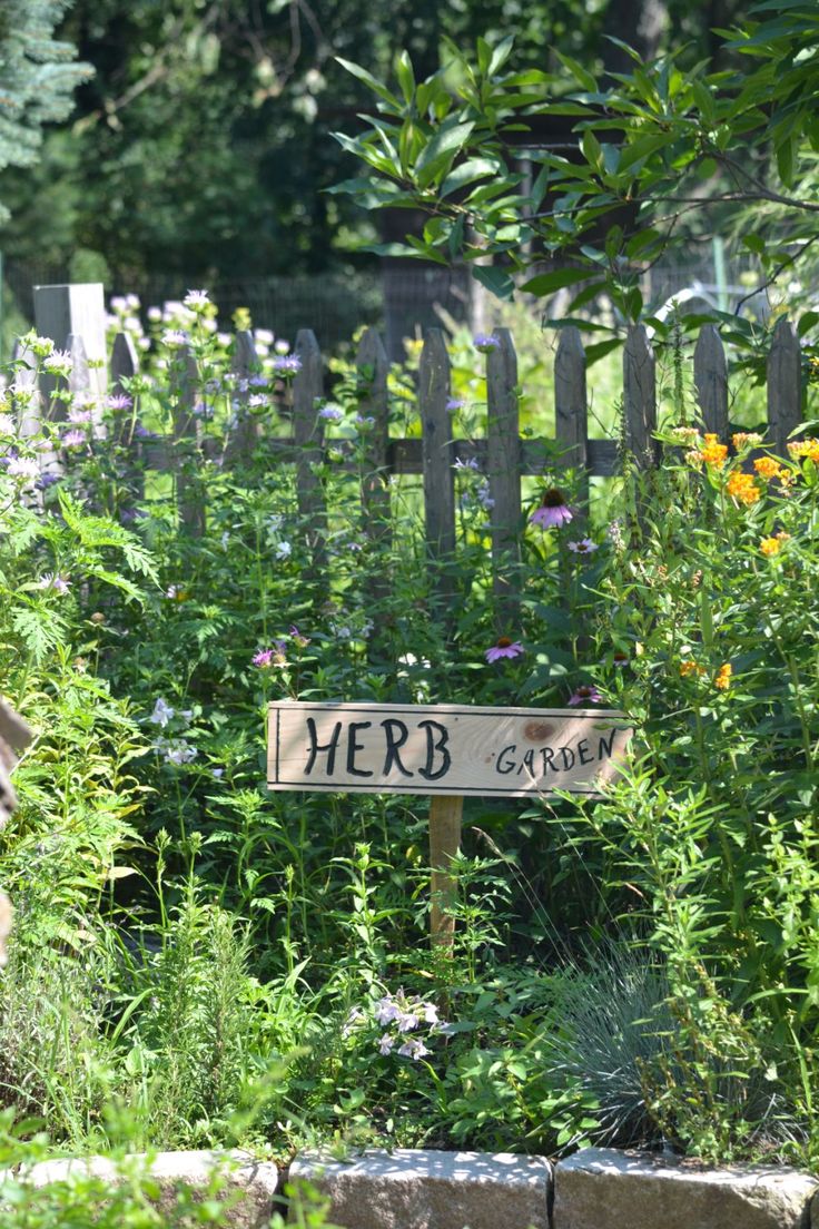 there is a sign that says herb garden in front of some flowers and plants around it