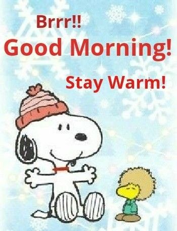 a snoopy dog and a little boy are in front of snowflakes with the words,'good morning stay warm '