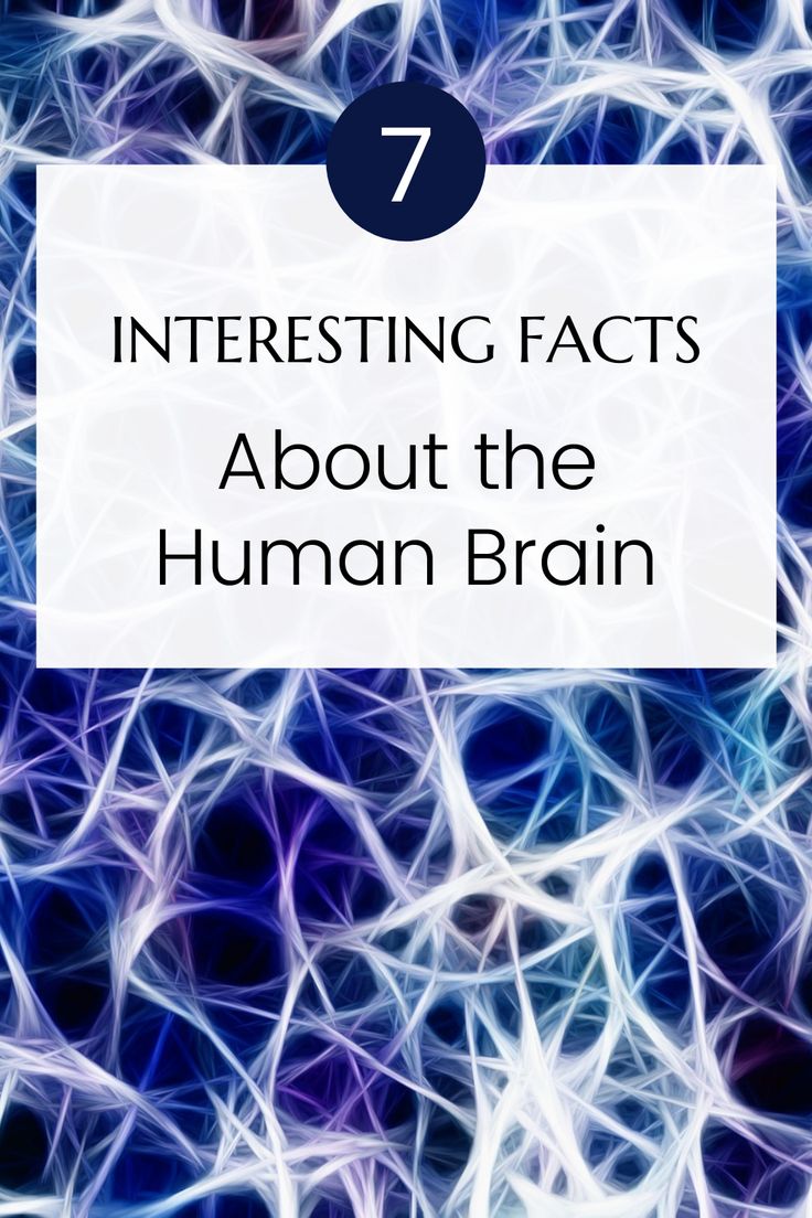 7 Interesting facts about the Human Brain. Interesting Medical Facts, Facts About The Brain, Physiology Facts, Human Brain Facts, Brain Models, Facts About Humans, Brain Facts, The Human Brain, Medical Facts