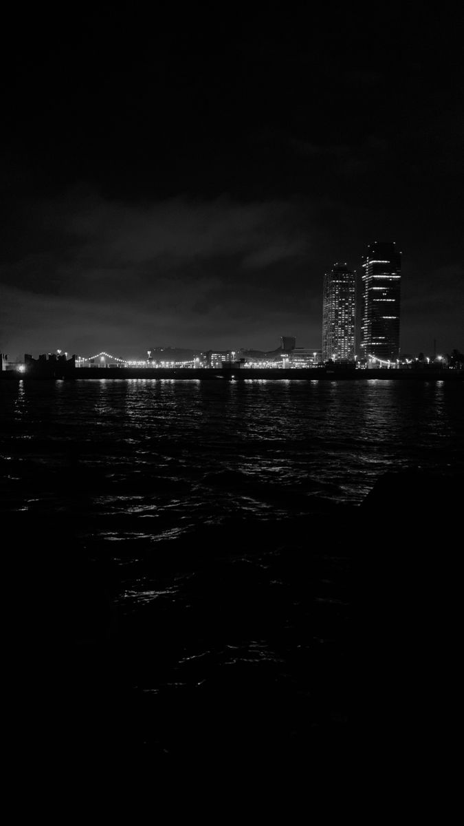 a black and white photo of the city lights from across the water at night time