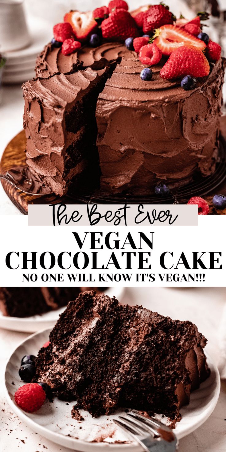 the best ever vegan chocolate cake no one will know it's vegan