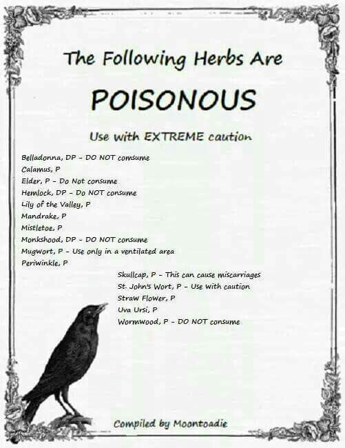 Poisonous herbs Poisonous Herbs, Witch Herbs, Magia Das Ervas, Magic Herbs, Magical Herbs, Wiccan Spell Book, Herbal Magic, Wiccan Spells, Table Tv