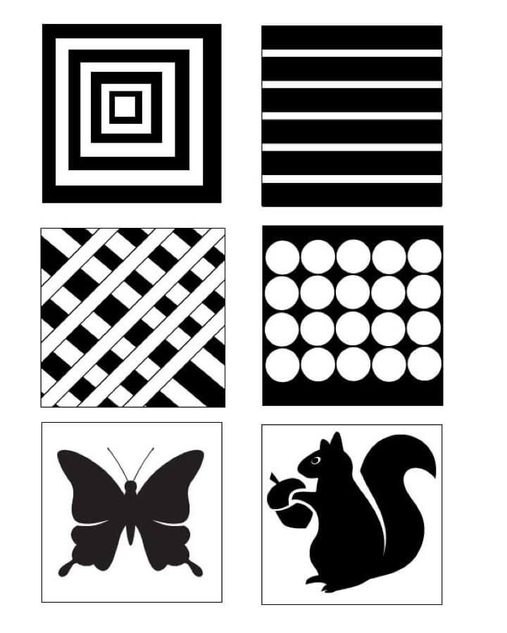 four different shapes and sizes of the same animal, butterfly, circle, square, rectangle