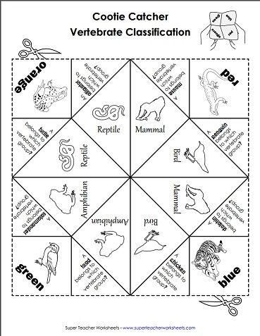 a diagram showing the different animals that can be found in this animal identification card for children