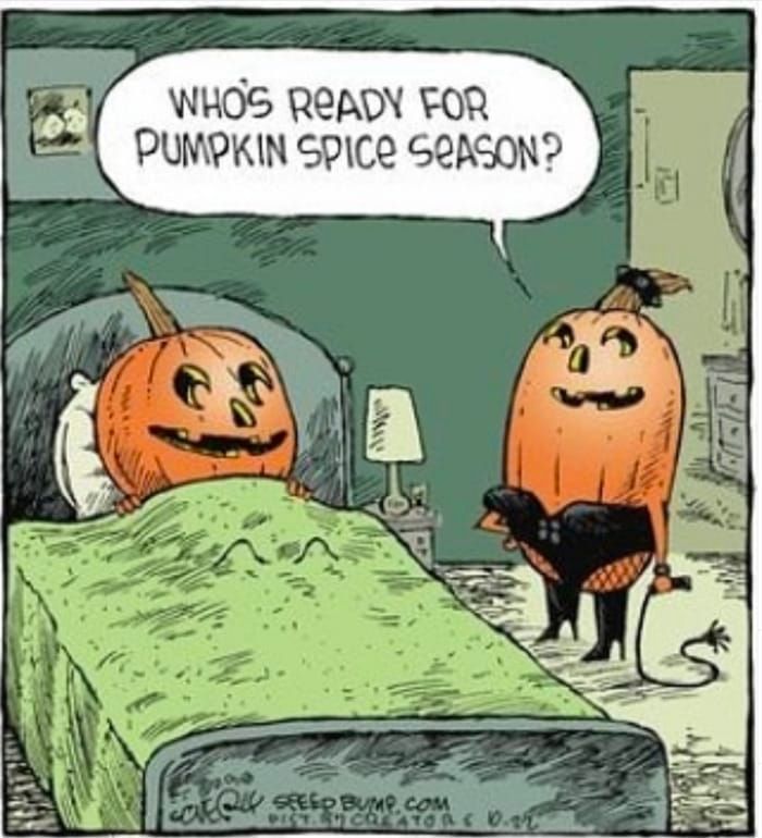 two pumpkins sitting on top of a bed in a room with a speech bubble