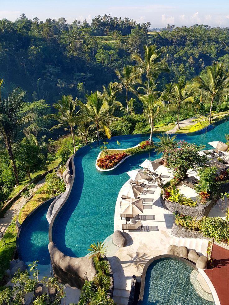 an aerial view of a resort pool surrounded by palm trees