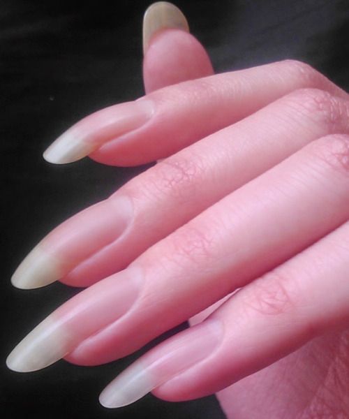 Natural nails Nail Filler, Long Nail Beds, Nails Shape, Long Natural Nails, Natural Acrylic Nails, Long Nail, Nails Only, Dream Nails, Healthy Nails