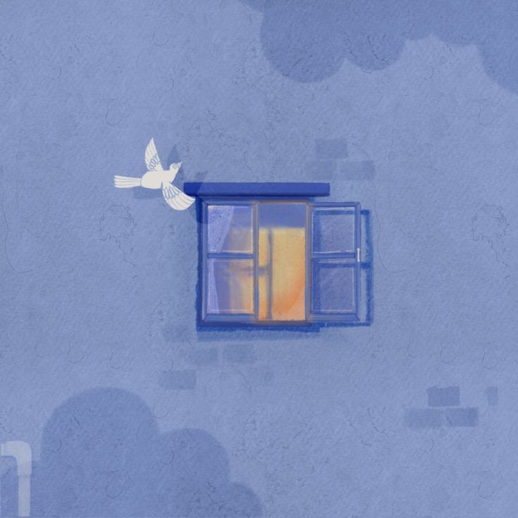 an image of a window with a bird flying by