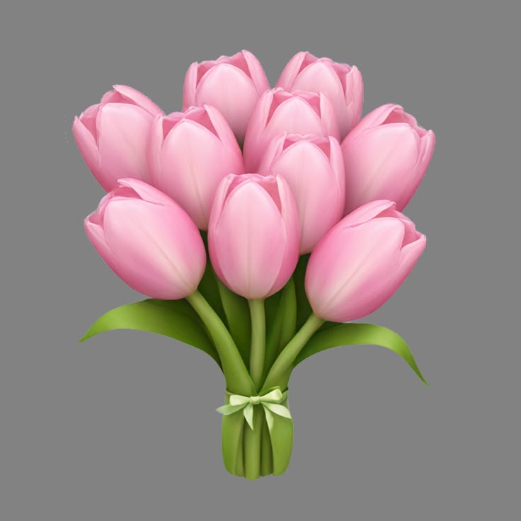 a bouquet of pink tulips on a white background