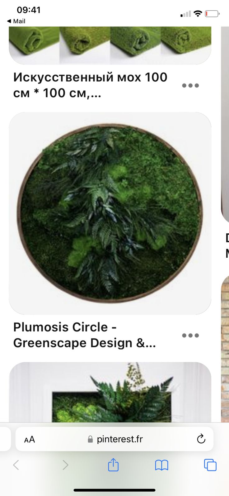 an image of some green plants in the middle of a page with other items on it