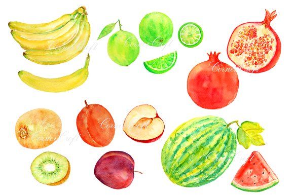 a watercolor drawing of different fruits and vegetables