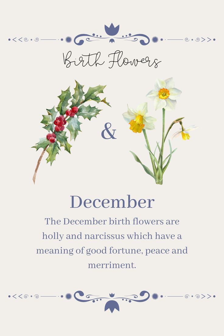 a christmas card with flowers and the words,'birth flowers & december'on it