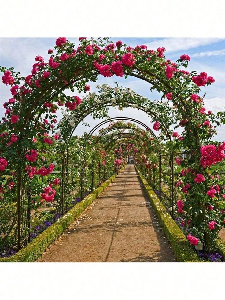 a garden with lots of pink flowers growing on it's sides and an arch over the walkway