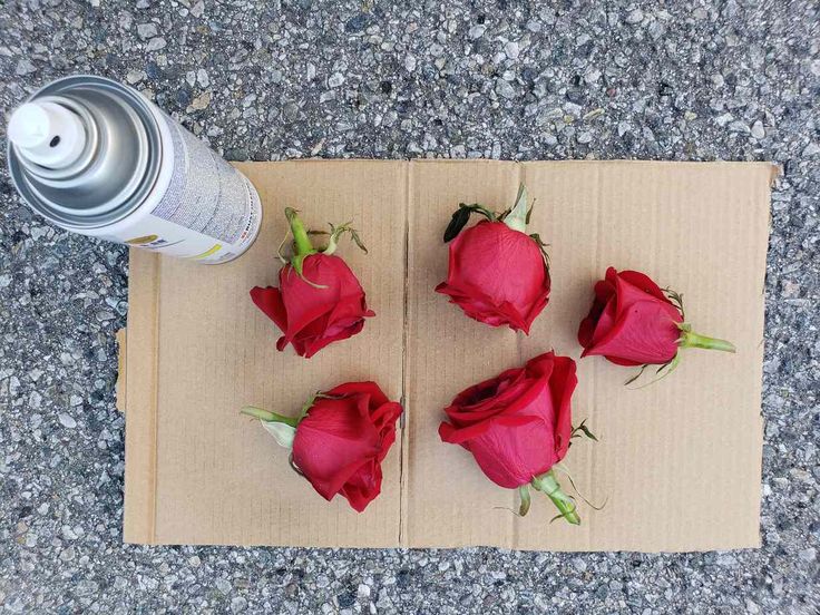 four red roses sitting on top of a piece of cardboard next to a water bottle