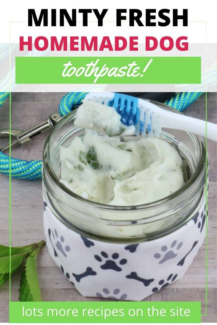 homemade dog toothpaste in a mason jar with text overlay that reads, minty fresh homemade dog toothpaste lots more recipes on the site