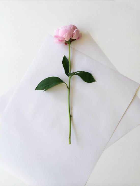 a single pink rose sitting on top of two white envelopes