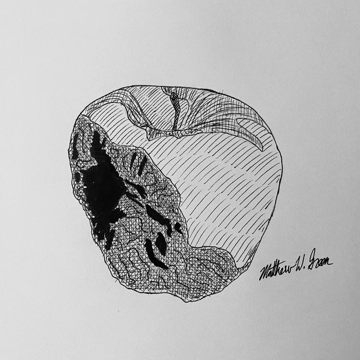 a black and white drawing of an apple