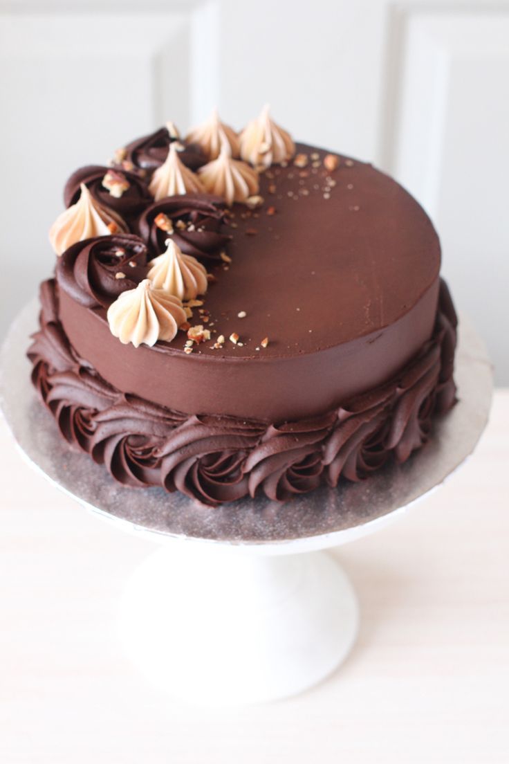 a chocolate cake sitting on top of a white plate