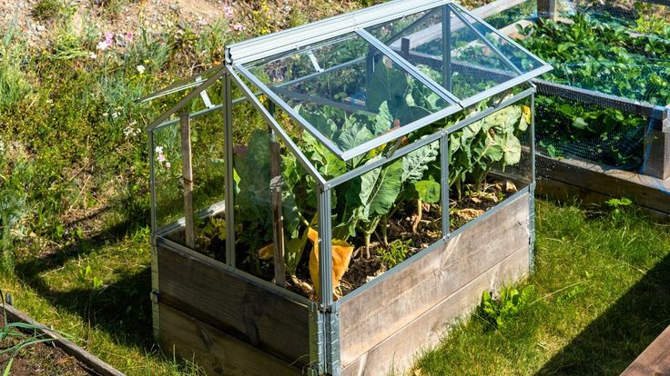 an elevated garden box with plants growing in it