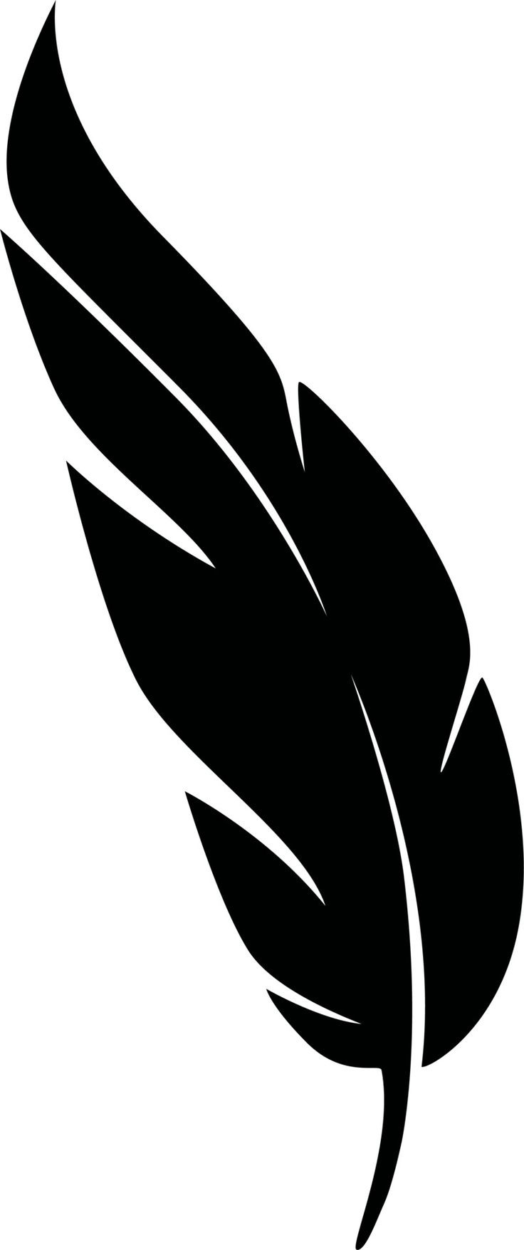 a black and white image of a feather