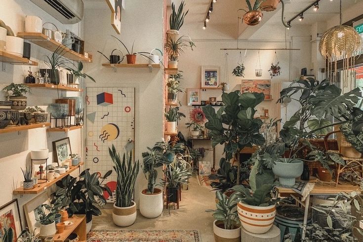 a room filled with lots of potted plants on shelves next to eachother