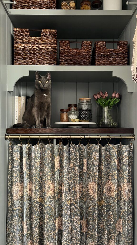 a gray cat sitting on top of a shelf next to curtains and baskets filled with food