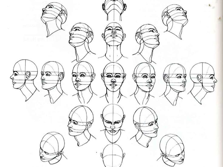 the head and shoulders are shown with different facial shapes, including one for each face