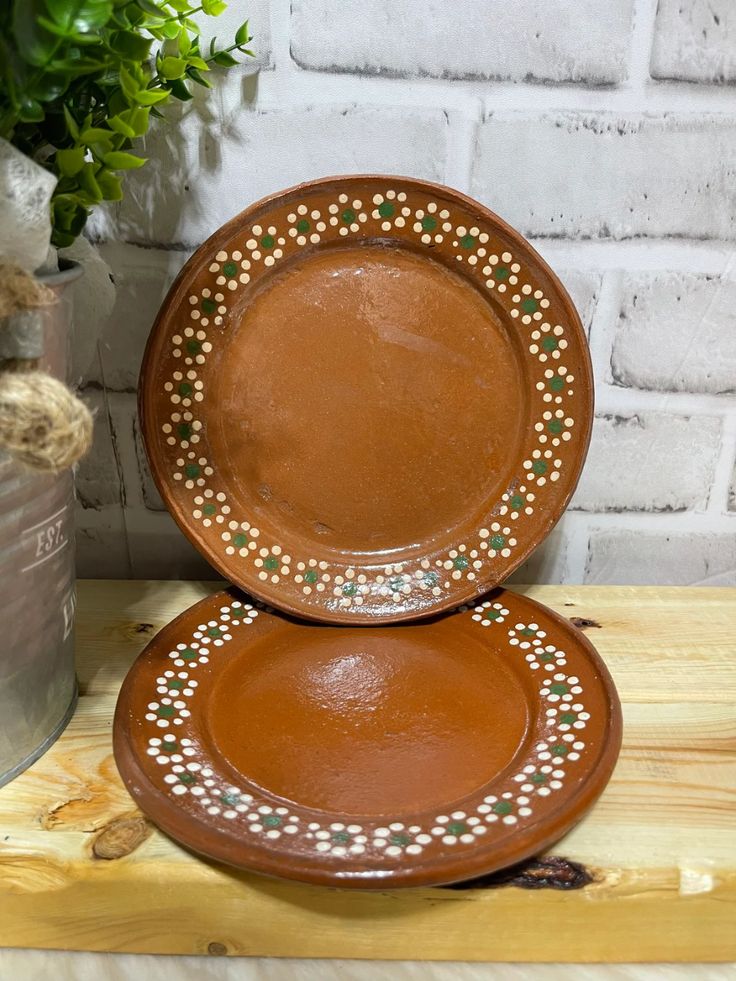 two brown plates sitting on top of a wooden table next to a potted plant